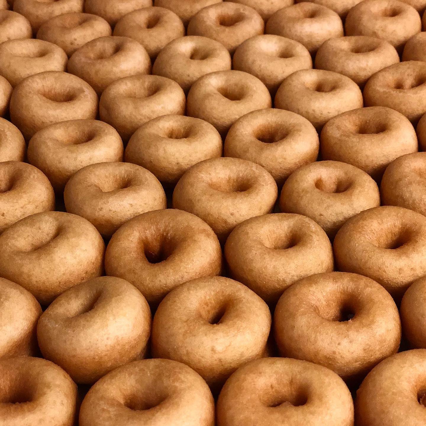Donut Mixes